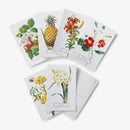 New York Botanical Garden: In Full Bloom Postcards US - Cards