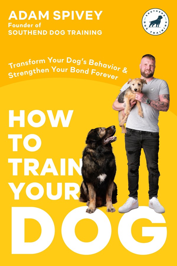 How to Train Your Dog-Dog obedience and training-買書書 BuyBookBook