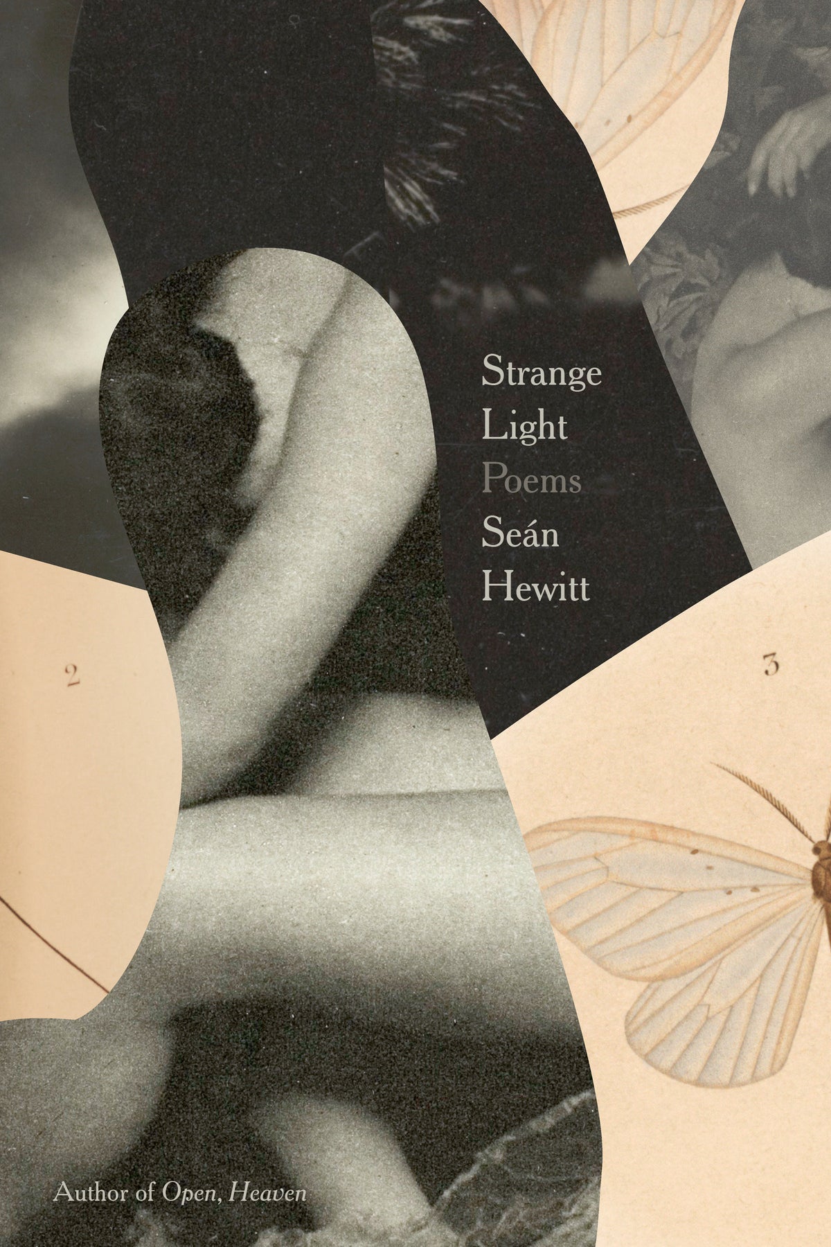 Strange Light cover (ISBN 9780593803226)