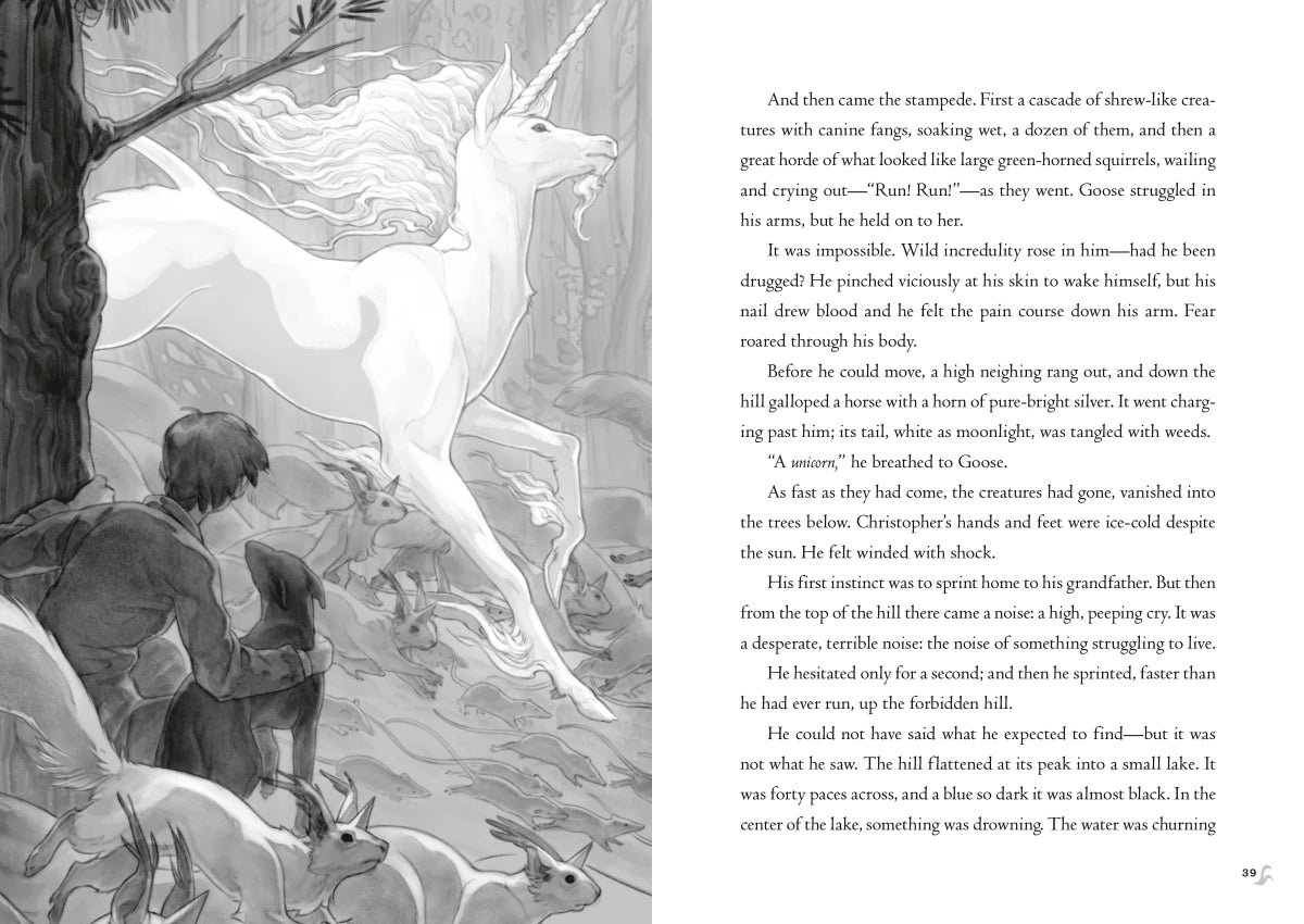 Impossible Creatures US - Hardback (9780593809860)