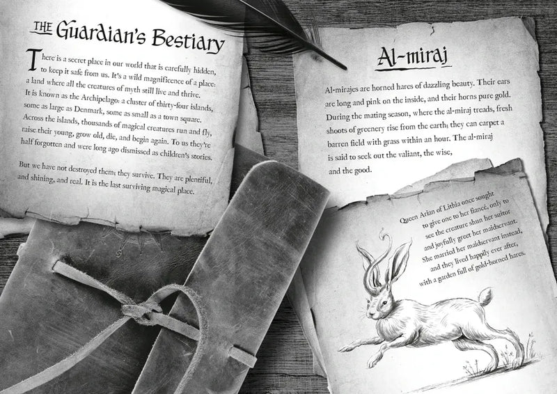 Impossible Creatures US - Hardback (9780593809860)