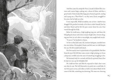US - Paperback / softback