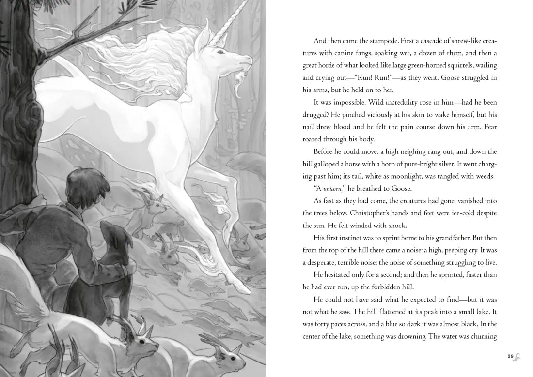 Impossible Creatures US - Paperback / softback