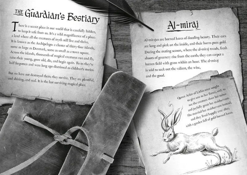 Impossible Creatures US - Paperback / softback