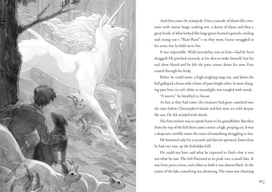 US - Paperback / softback