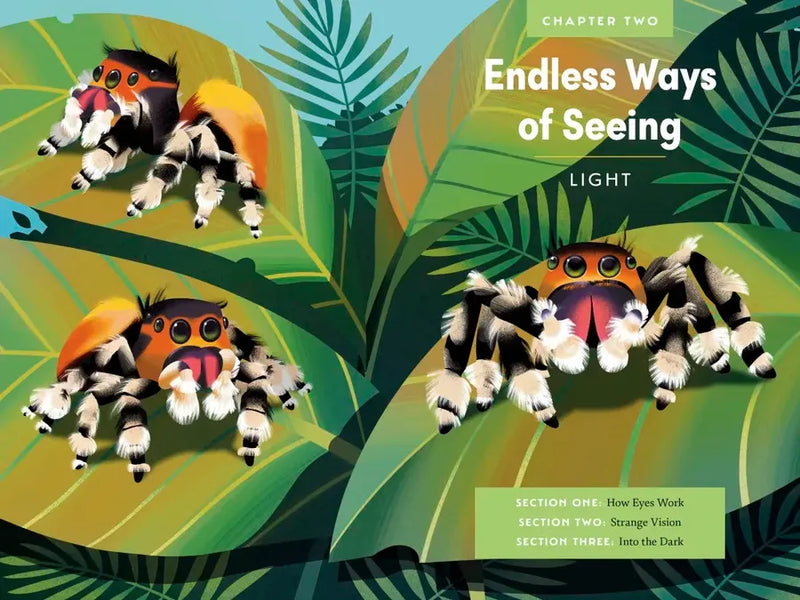 An Immense World (Young Readers Edition) US - Hardback (9780593810880)