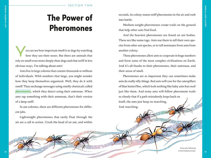 An Immense World (Young Readers Edition) US - Hardback (9780593810880)