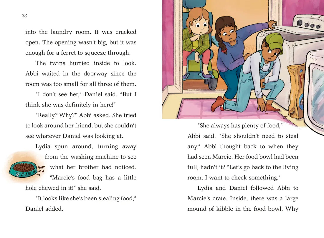 A to Z Animal Mysteries #6: Find That Ferret! US - Hardback