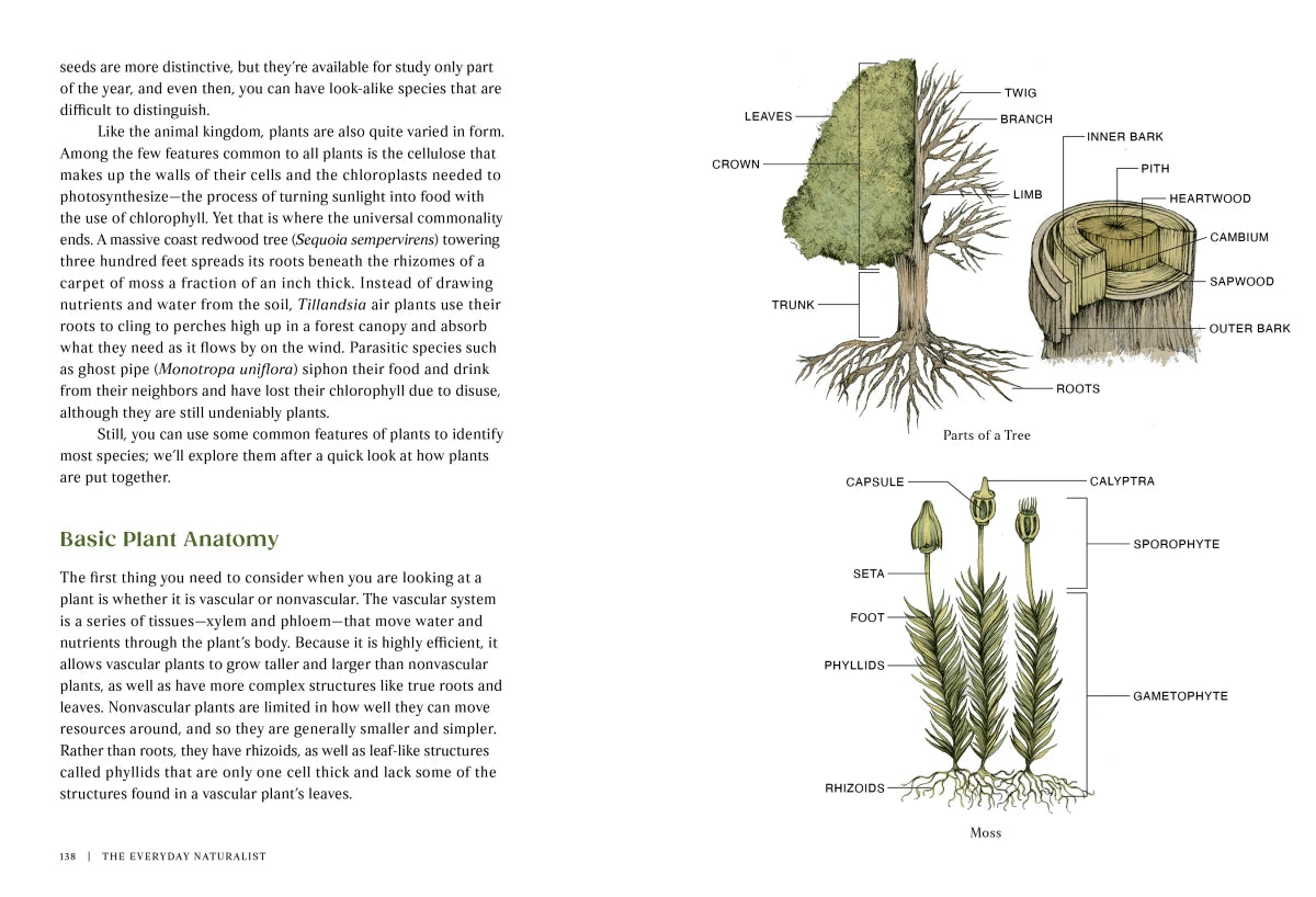The Everyday Naturalist US - Paperback / softback