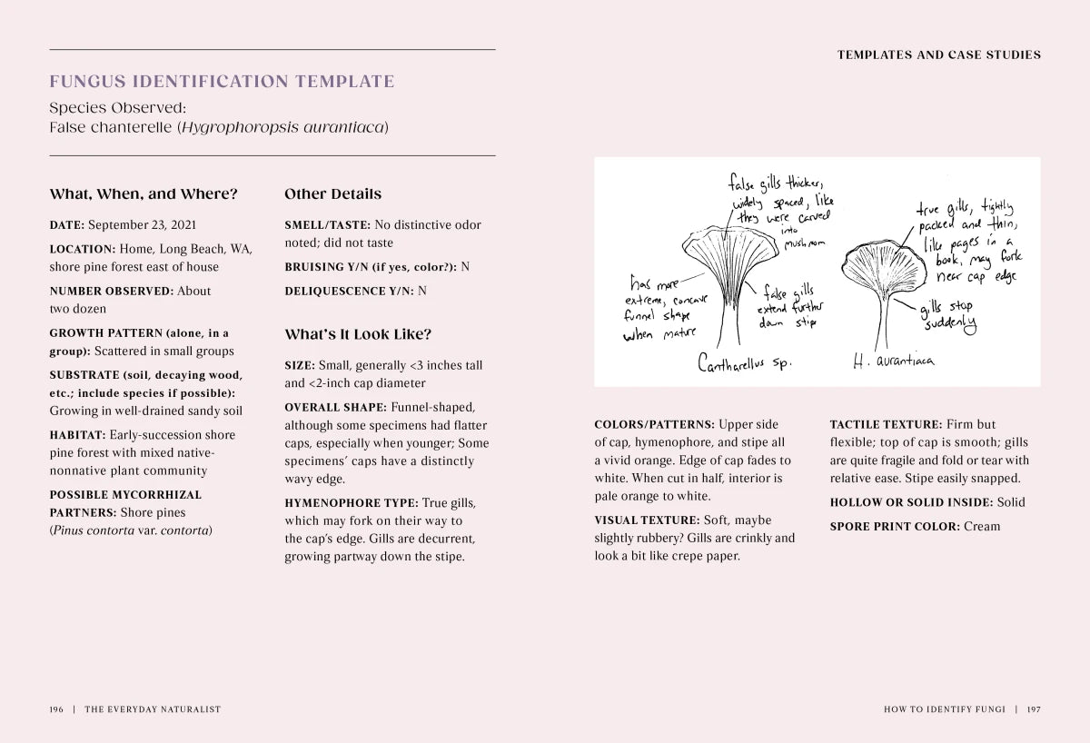 The Everyday Naturalist US - Paperback / softback