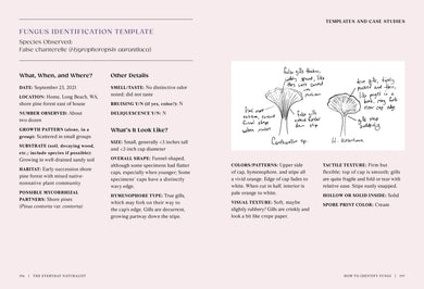 The Everyday Naturalist US - Paperback / softback