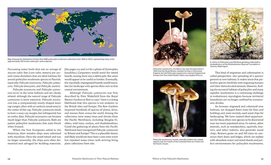 Psilocybin Mushrooms in Their Natural Habitats US - Hardback