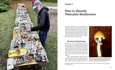 Psilocybin Mushrooms in Their Natural Habitats US - Hardback