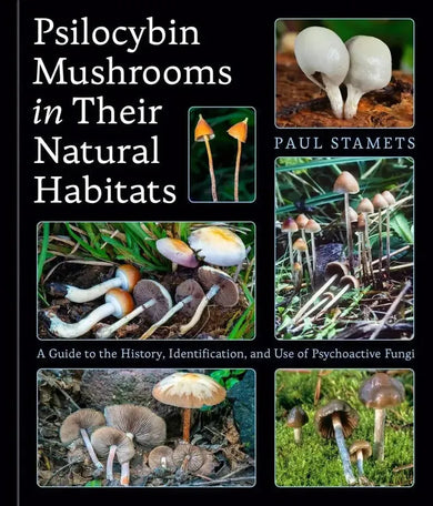 Psilocybin Mushrooms in Their Natural Habitats