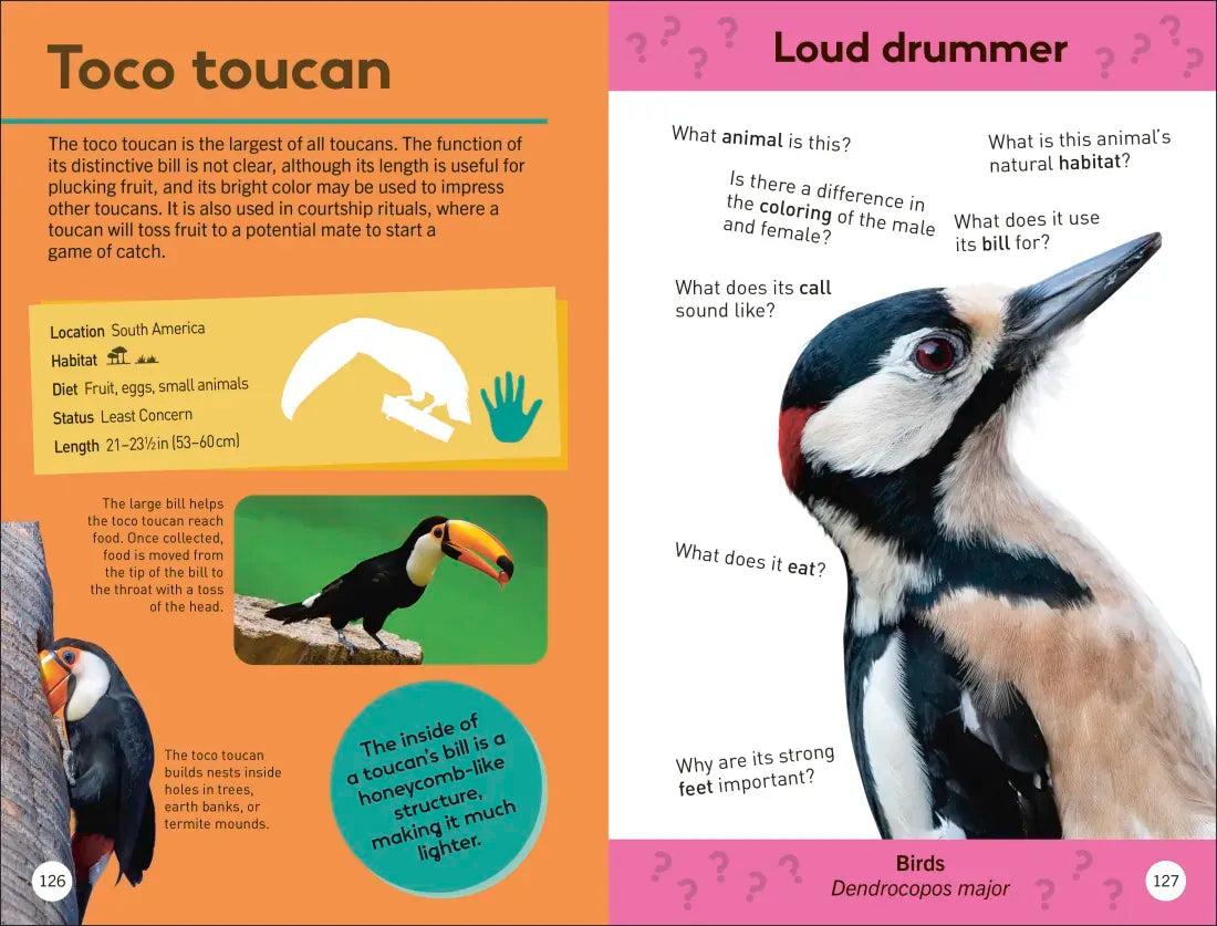 Quiz Yourself Clever! Animals of the World US - Paperback / softback