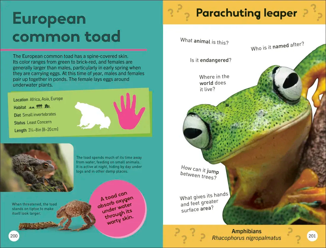 Quiz Yourself Clever! Animals of the World US - Paperback / softback