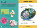 Quiz Yourself Clever! Rocks and Minerals US - Paperback / softback
