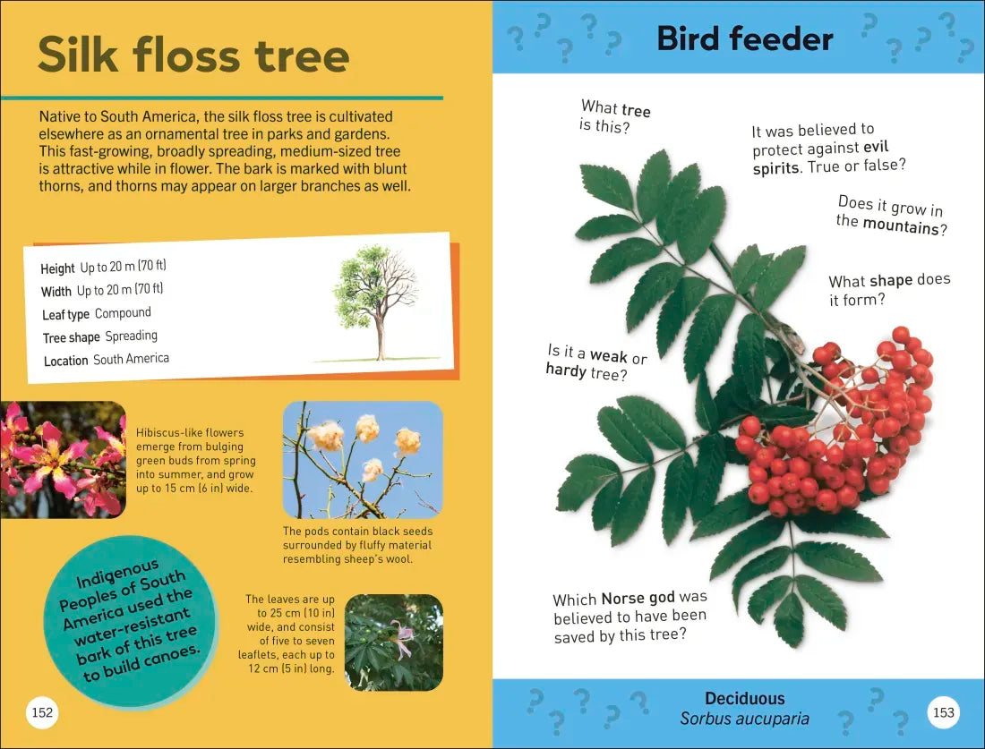 Quiz Yourself Clever! Trees of the World US - Paperback / softback