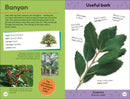 Quiz Yourself Clever! Trees of the World US - Paperback / softback