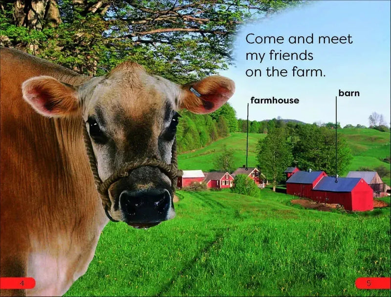 DK Super Readers Pre-level box set US - Multiple-component retail product, boxed