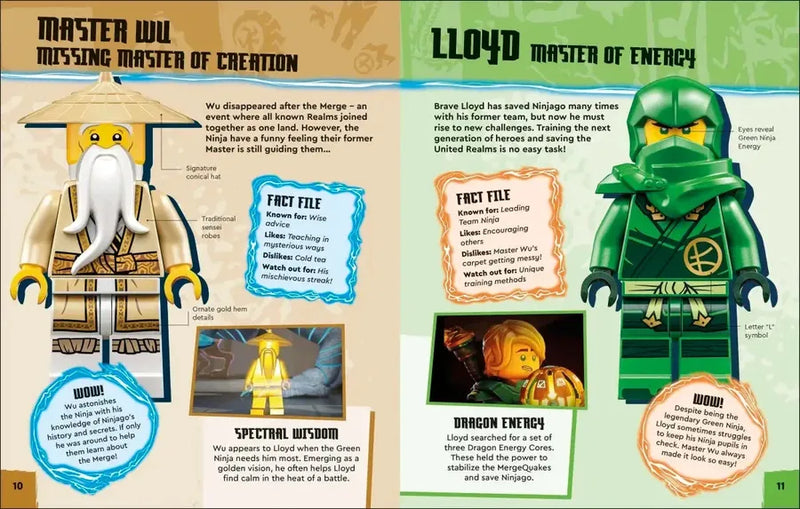 LEGO Ninjago Dragons Rising Character Guide (Library Edition)