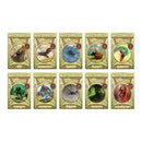 Phonic Books Talisman Card Games, Boxes 1-10 US - Cards