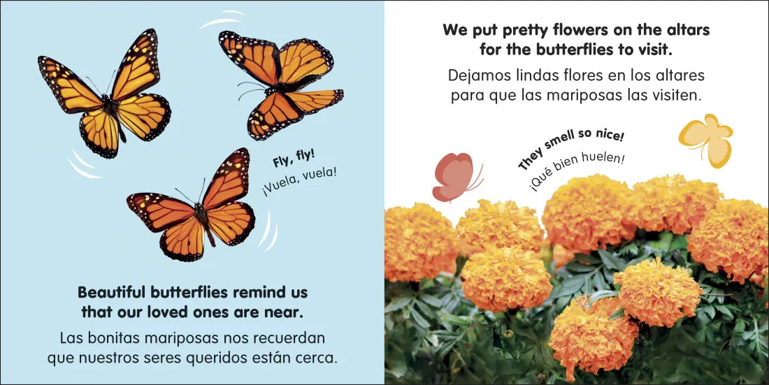Bilingual Baby's First Day of the Dead - DÃ­a de muertos US - Board book