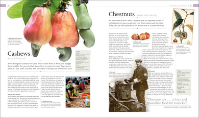 The Food Book US - Hardback
