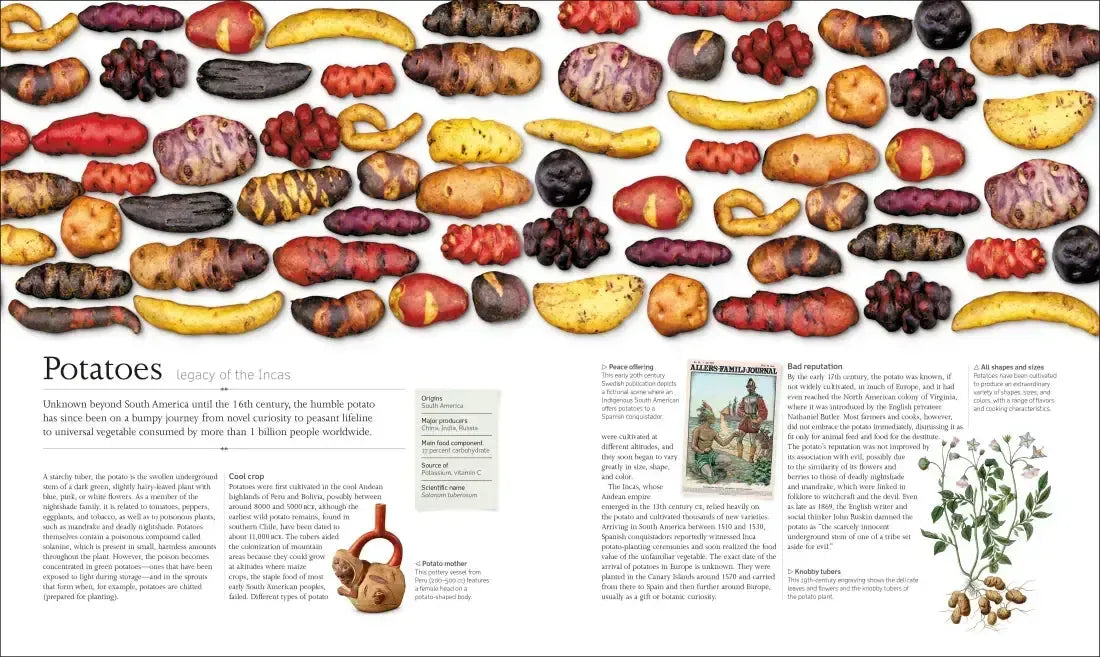 The Food Book US - Hardback