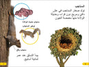 DK Super Readers Level 2 Wild Baby Animals (Arabic translation) US - Paperback / softback