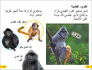 DK Super Readers Level 2 Wild Baby Animals (Arabic translation) US - Paperback / softback