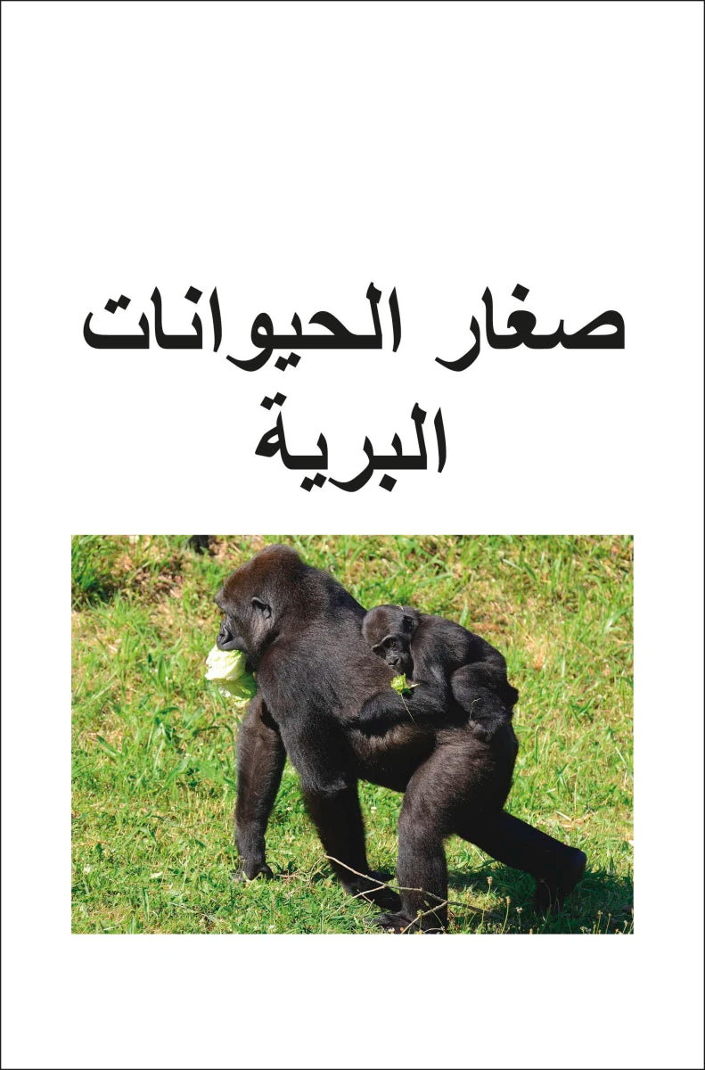 DK Super Readers Level 2 Wild Baby Animals (Arabic translation) US - Paperback / softback