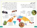 DK Super Readers Level 3 Ant Antics (Arabic translation) US - Paperback / softback