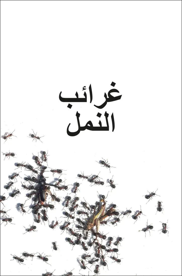 DK Super Readers Level 3 Ant Antics (Arabic translation) US - Paperback / softback