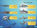 DK Super Readers Level 4 Shark Apex Predator (Arabic translation) US - Paperback / softback