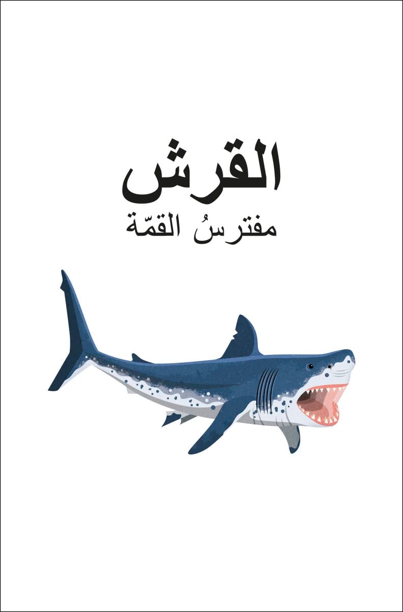 DK Super Readers Level 4 Shark Apex Predator (Arabic translation) US - Paperback / softback