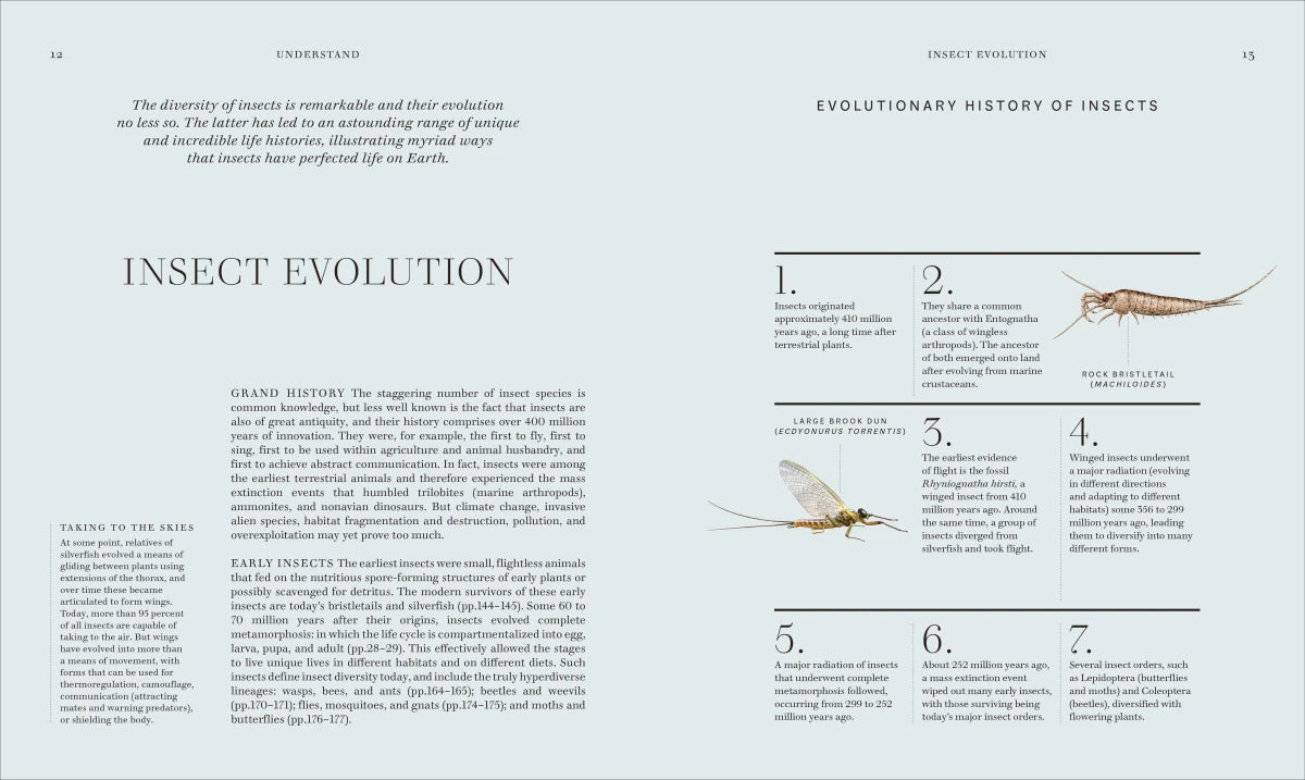 Insects US - Hardback
