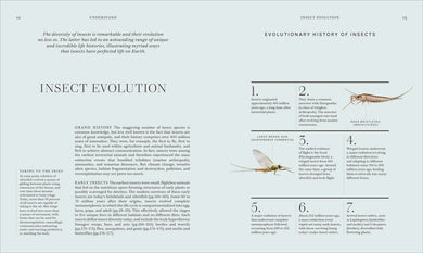 Insects US - Hardback