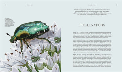 Insects US - Hardback