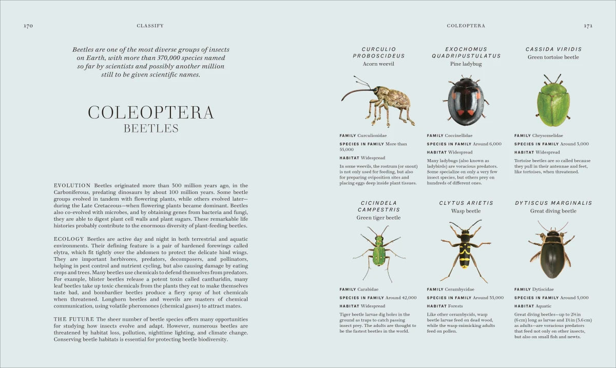 Insects US - Hardback