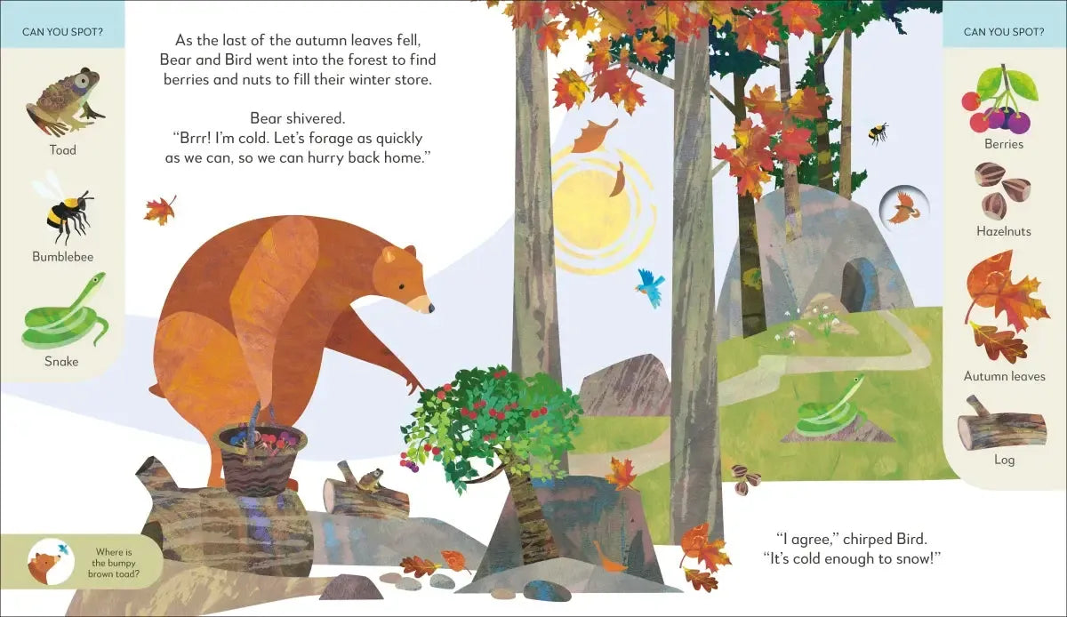 Jonny Lambert's Bear and Bird Winter Wonderland Adventure US - Hardback