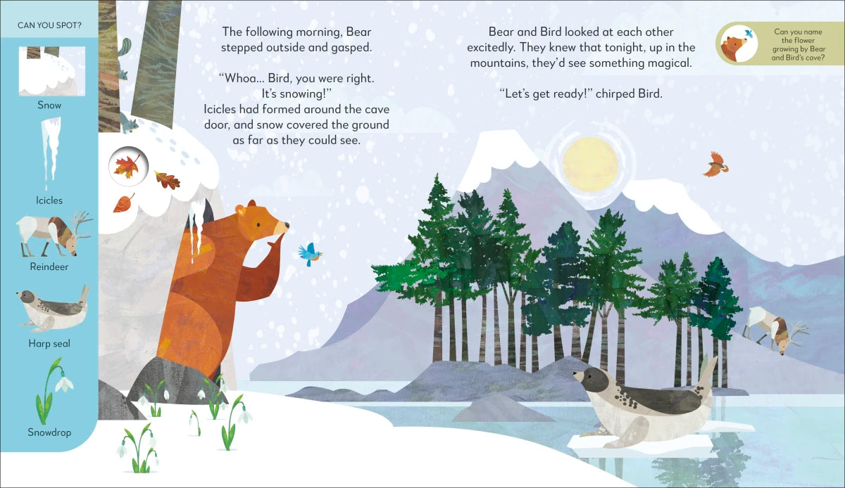 Jonny Lambert's Bear and Bird Winter Wonderland Adventure US - Hardback