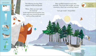 Jonny Lambert's Bear and Bird Winter Wonderland Adventure US - Hardback