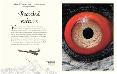 An Anthology of Exquisite Birds US - Hardback
