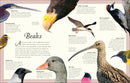 An Anthology of Exquisite Birds US - Hardback