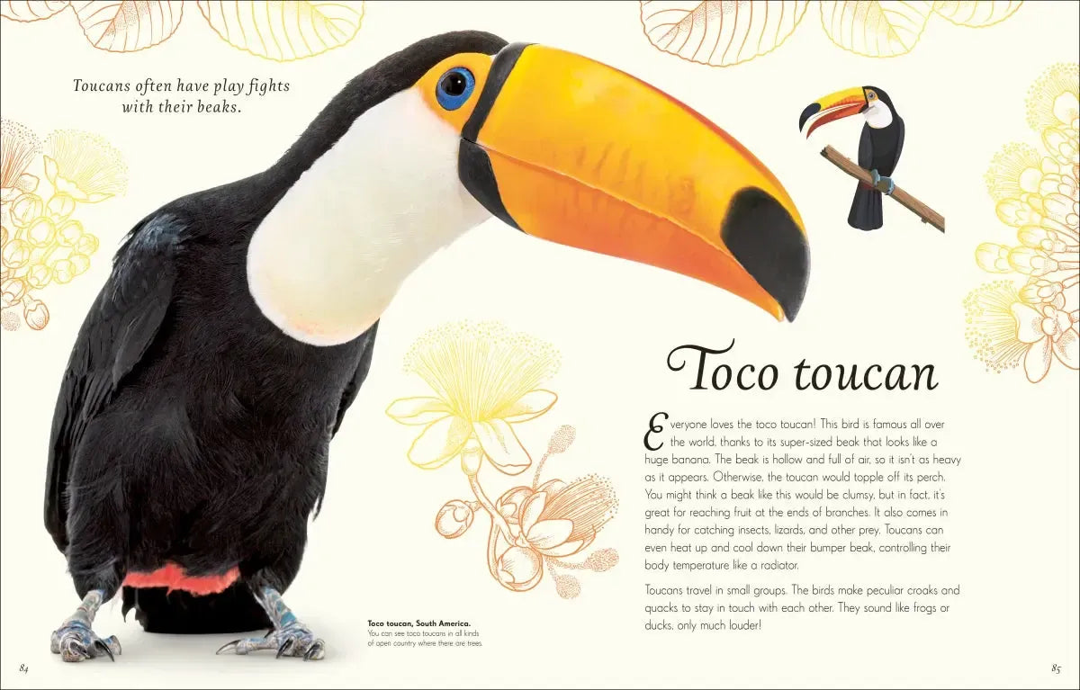 An Anthology of Exquisite Birds US - Hardback