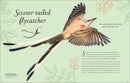 An Anthology of Exquisite Birds US - Hardback