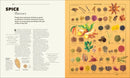 Knowledge A Visual Compendium US - Hardback