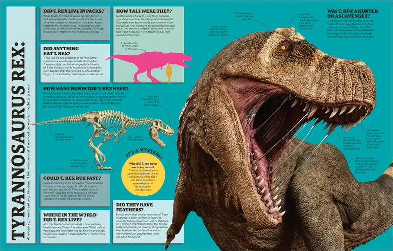 1,000 Curious Questions US - Hardback