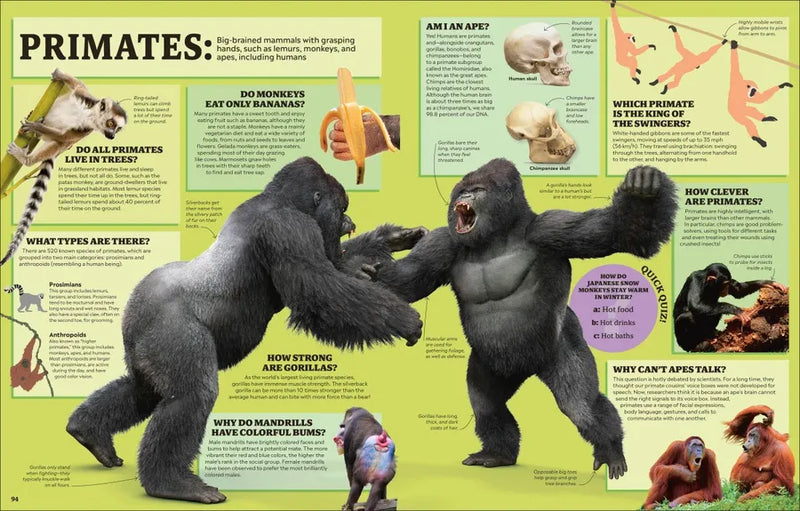 1,000 Curious Questions US - Hardback